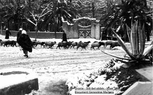 Sidi bel abbes hiver 1954  (7) de Genevieve Martens